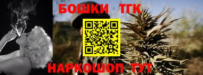 гидра Кингисепп