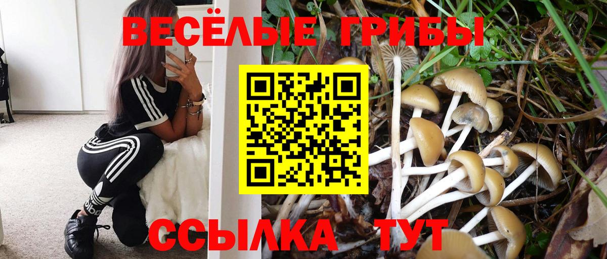 Валуйки  даркнет сайт  Вход с VPN  Псилоцибиновые грибы GOLDEN TEACHER 